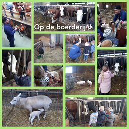 Groep 1/2 naar de boerderij🐄